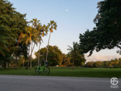 SoBi-Breeze-26